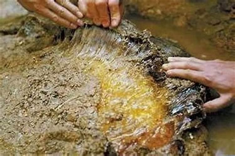 泡太岁的水能喝吗