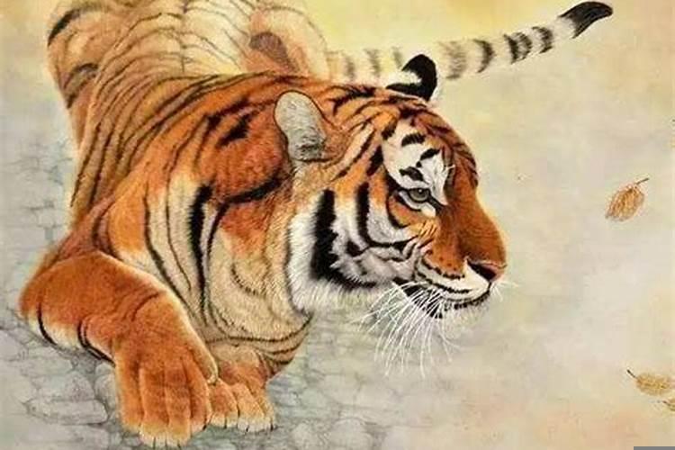 虎与蛇相配的婚姻如何