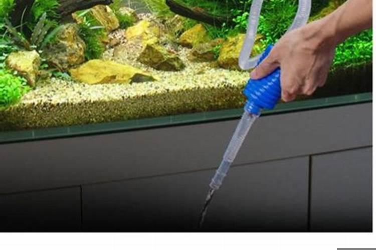 怎么用管子吸鱼缸的水