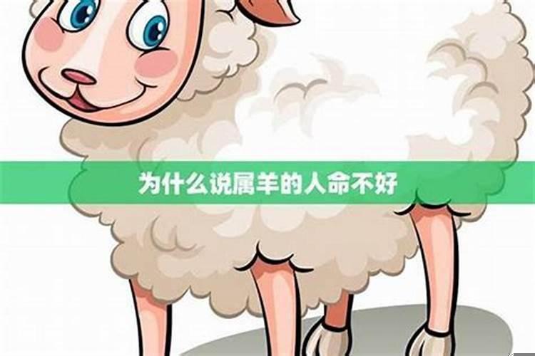 属羊的人有什么不好