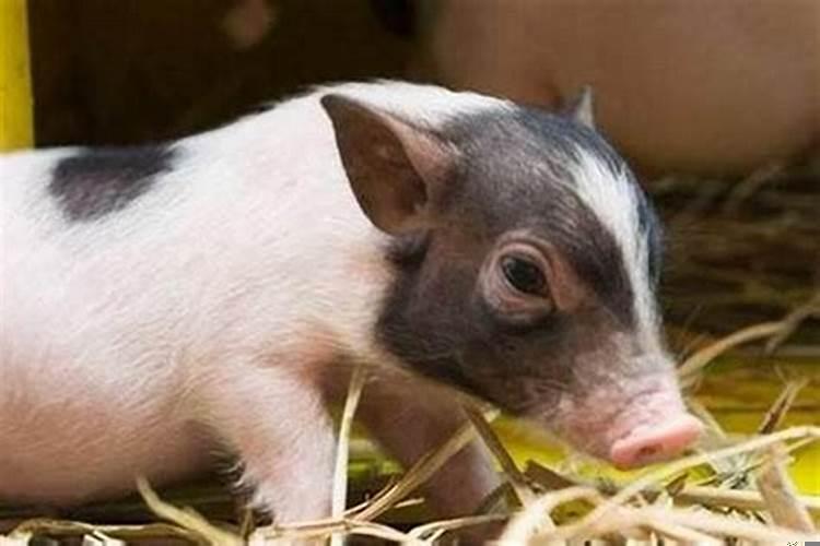 外表看起来很凶的女生