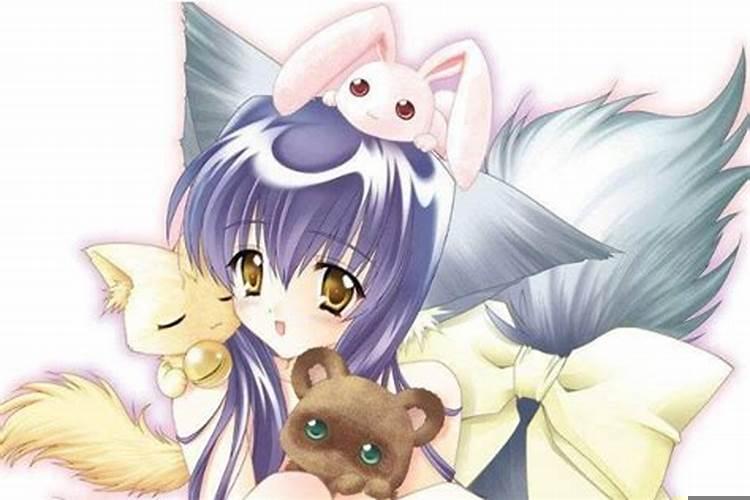 哪个星座爱吃回头草