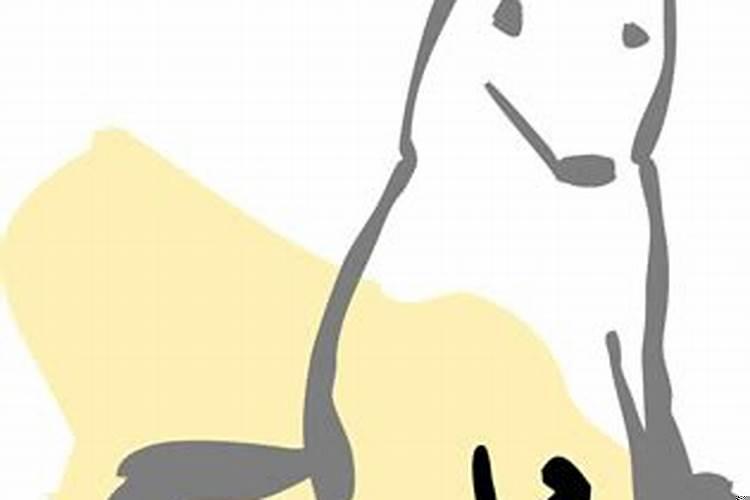 宋韶光属狗每月运程2021