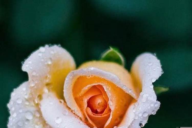 职场如何防止性骚扰