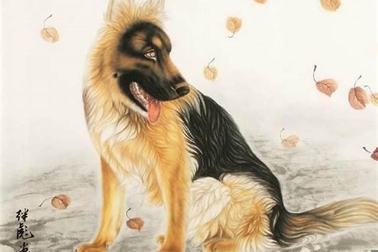 1982年属狗的运程