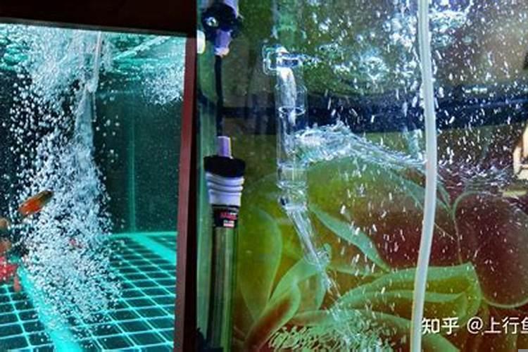 怎么用管子吸鱼缸的水
