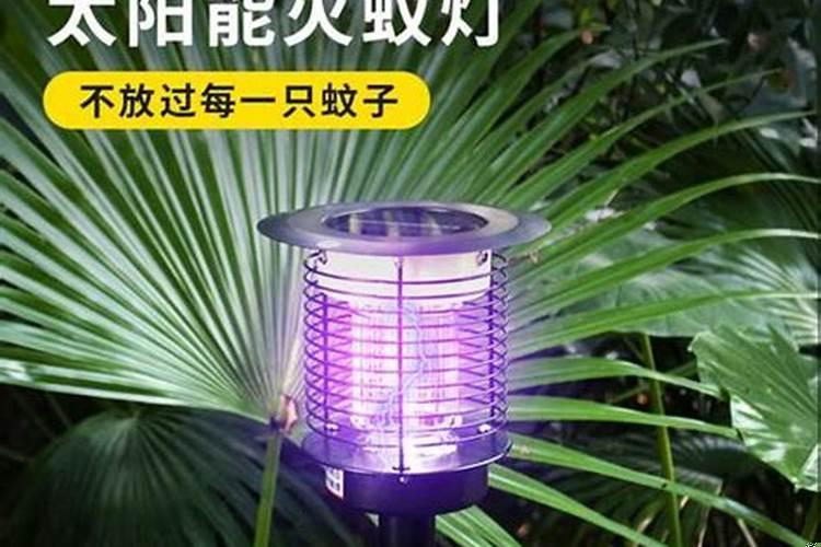 驱蚊植物有效果吗知乎