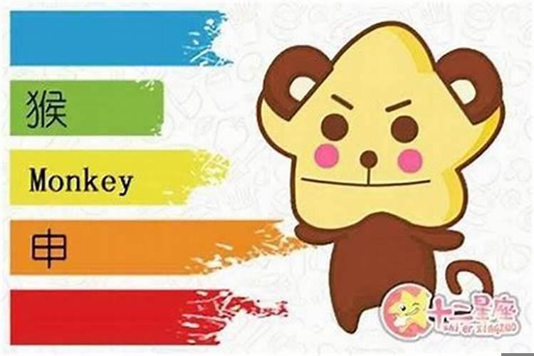 属猴买几楼合适