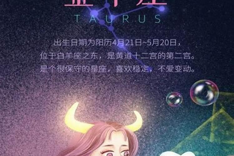 怎么追金牛座女生?