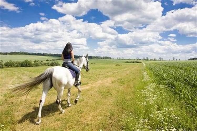 梦见骑马不敢骑