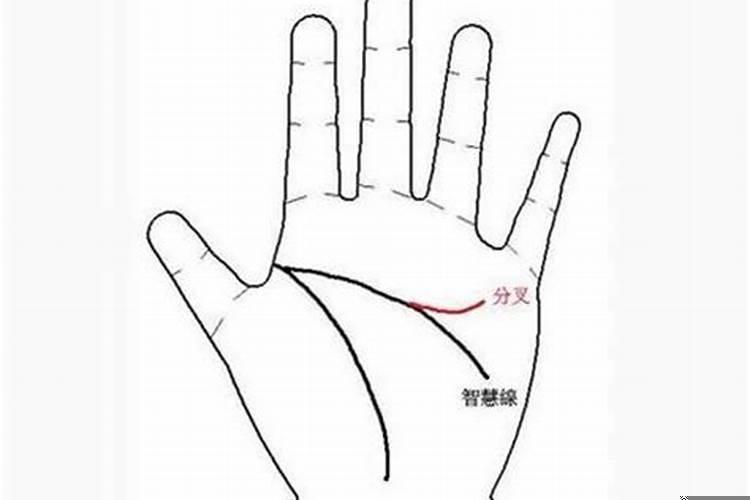 桃花多的手相女人