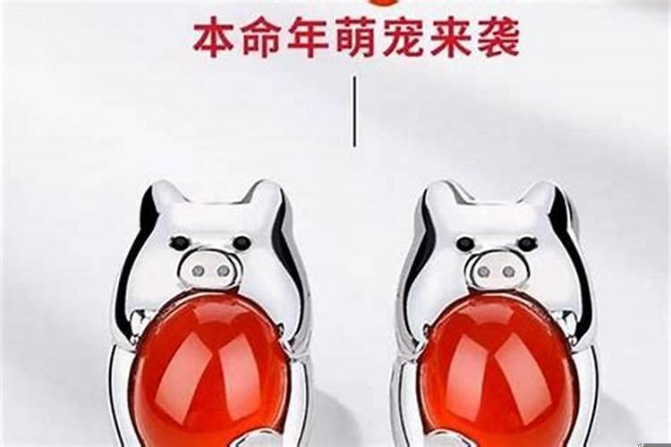 属猪今年是本命年吗