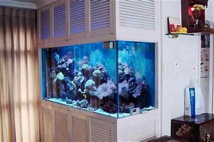 2025年鱼缸最佳位置