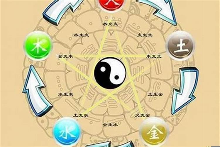 五行属木的行业有哪些?