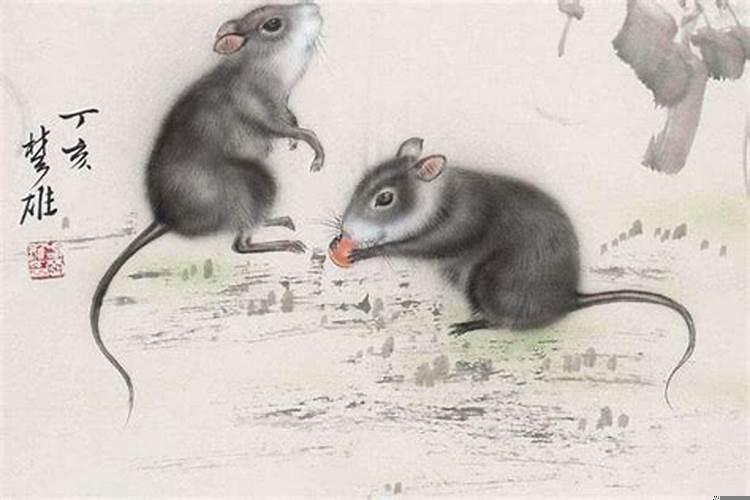 十鼠九富是什么意思