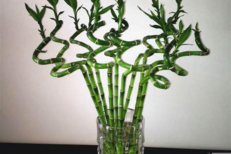 事业成功的人有哪些