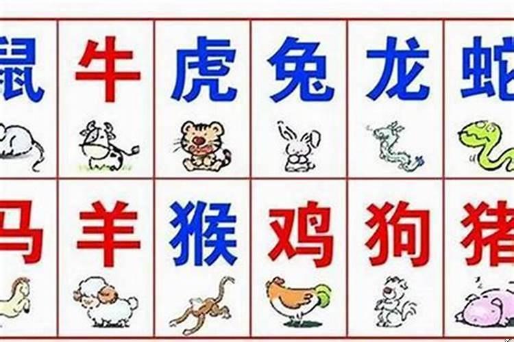 82年属狗可以开茶楼吗女