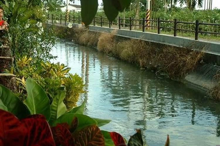 祖坟西边有条水沟好吗