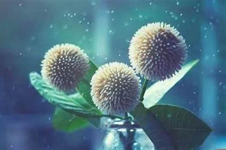 姻缘有因果，有定数么