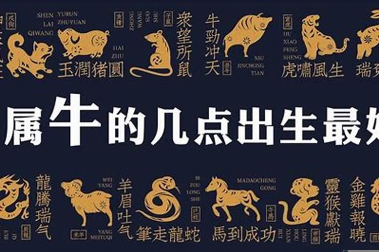属牛几月份出生的命运怎么样