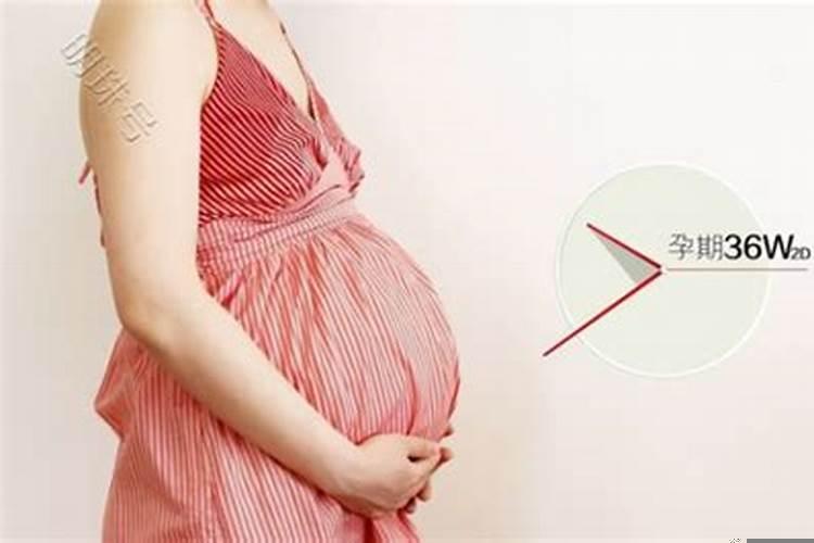 生育能力强的八字女人