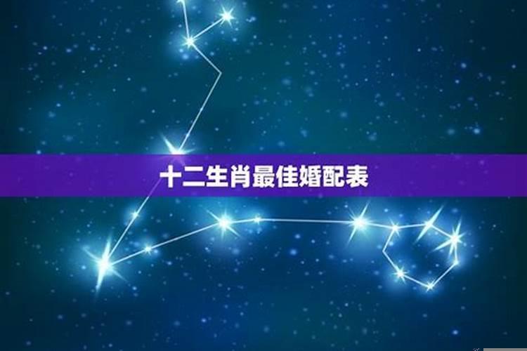 12生肖最佳婚配12生肖运势