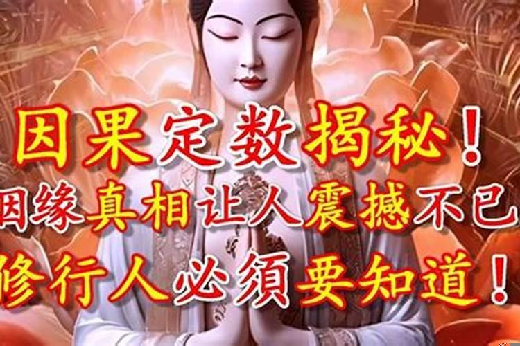 姻缘有因果，有定数么