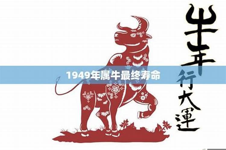 1949出生属牛的今年多少岁