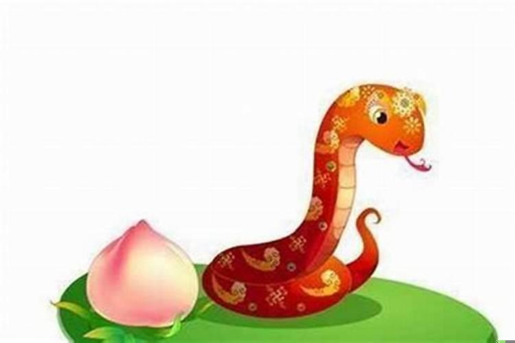 十二生肖配对大全属蛇的出生年月