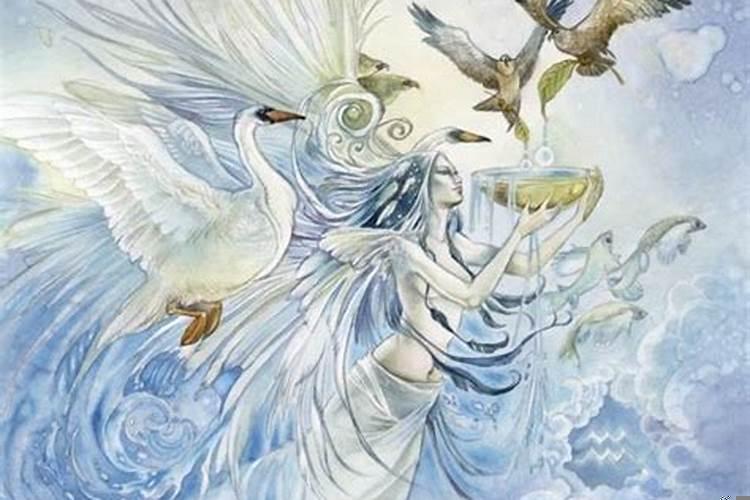 水瓶座的人2025年的运气怎么样