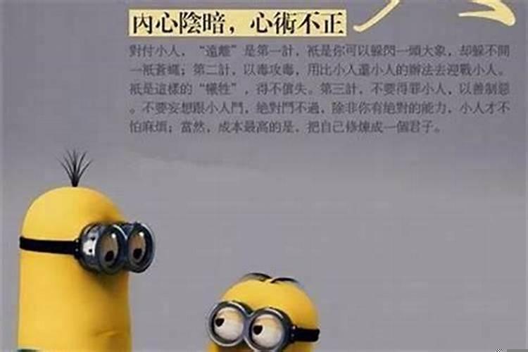 小人惹老实人的后果