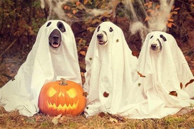 梦到鬼神是什么意思