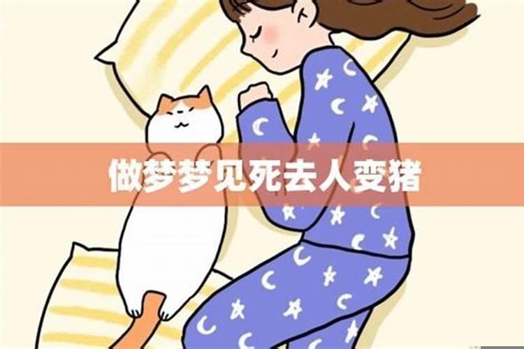 梦见死去的人和猪