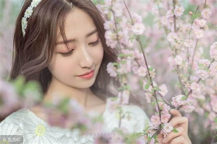 那个星座的人桃花多