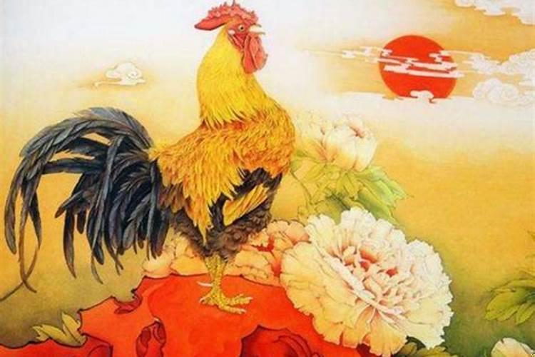 2017火鸡命是什么命