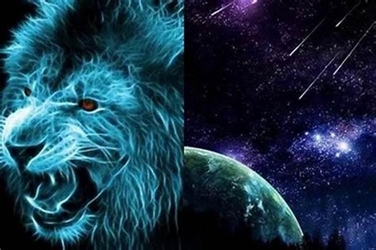 属龙的狮子座男人