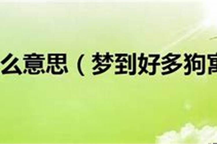总是梦见狗狗有什么寓意嘛