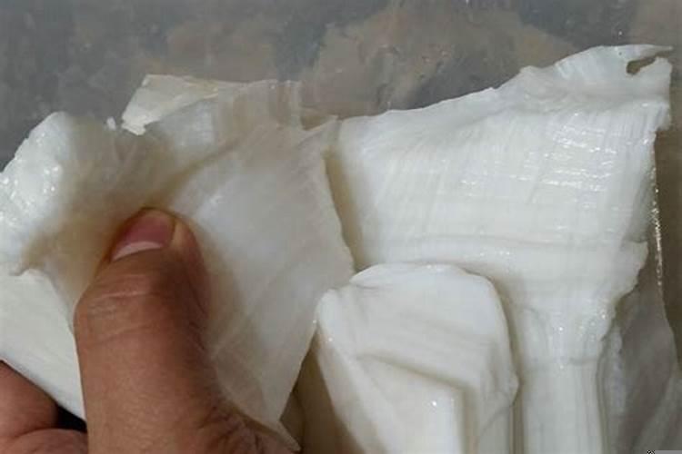 野生太岁是什么东西