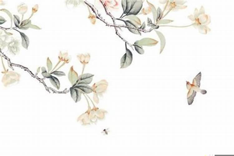 婚姻宫逢冲又逢合