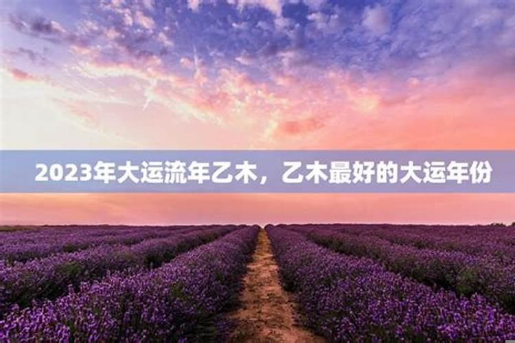 辛金乙木合婚会怎么样