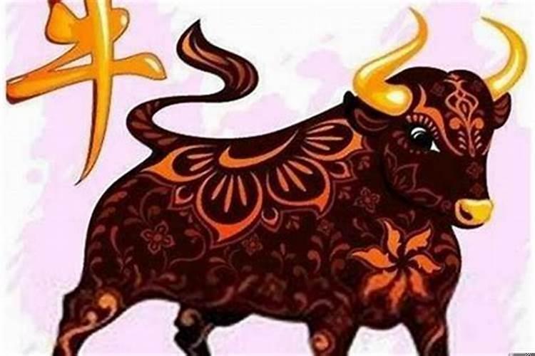 属牛这个月运势如何女