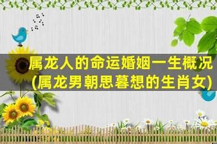 属龙的人婚姻和命运