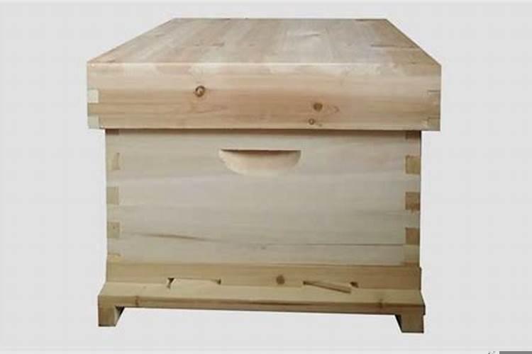 养蜂用什么箱子好