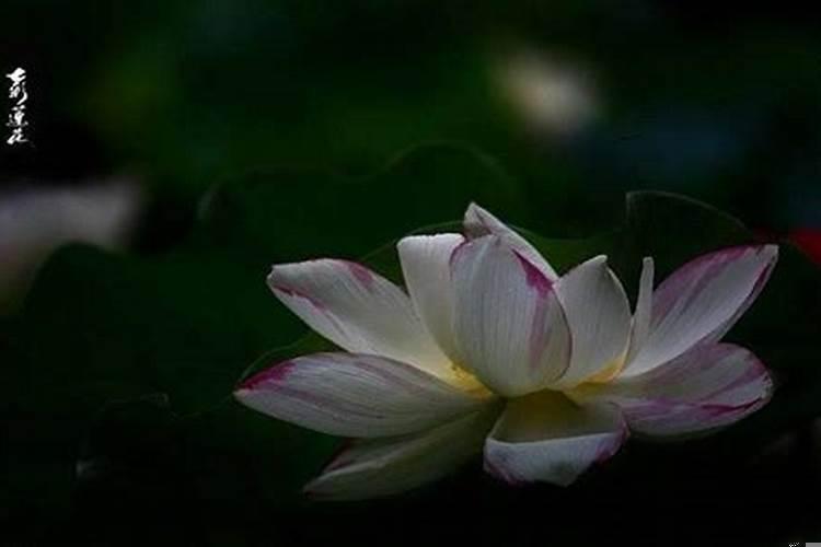 事业不顺利在佛法里是什么原因引起的