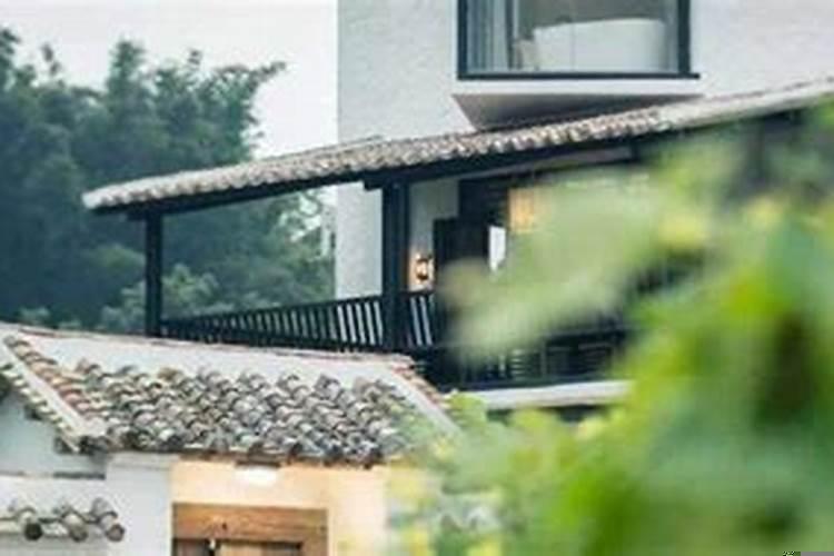 竹子栽在院子什么位置最好