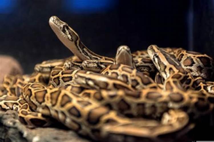 女人梦见自己捡到很多钱是什么预兆呢