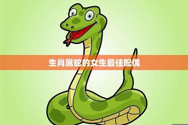 蛇的最佳配偶属相是