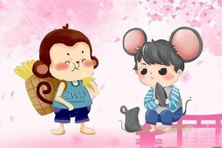 属猴的女跟属鼠的男匹配吗