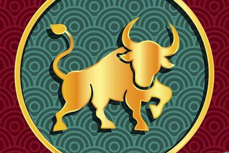 属牛这个月运势如何女