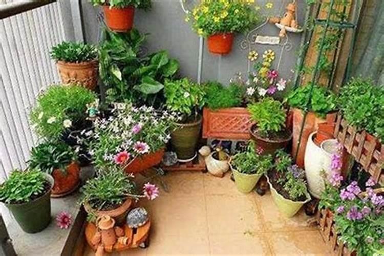 花盆摆放有哪些风水讲究呢